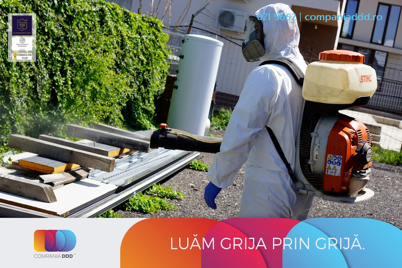 Solutii DIY pentru Dezinsectia cu Plosnite de Pat: Ce Functioneaza?