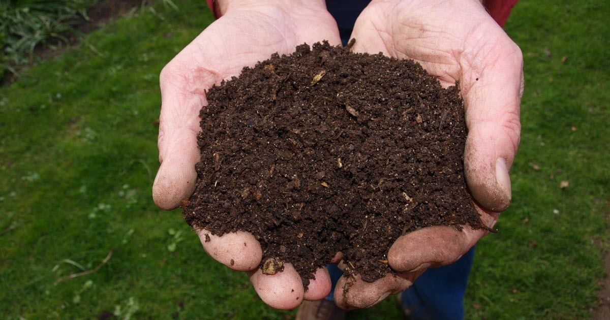 Cum produci îngrăşământ natural pentru grădină?
