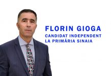 Florin Gioga