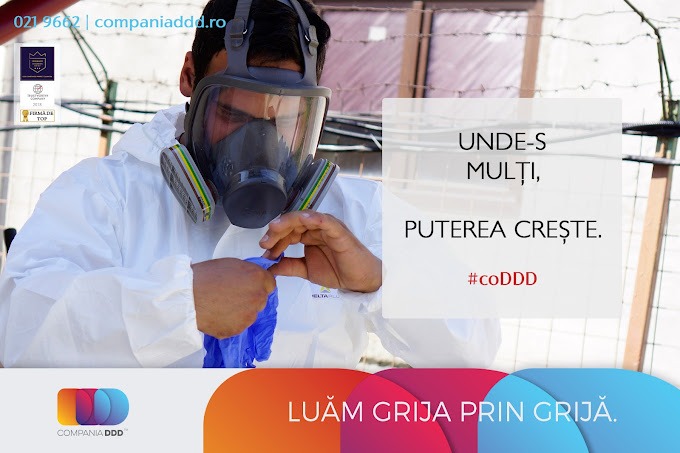 Cum poate prevenirea infestării cu rozătoare să protejeze sănătatea ta și a celor dragi