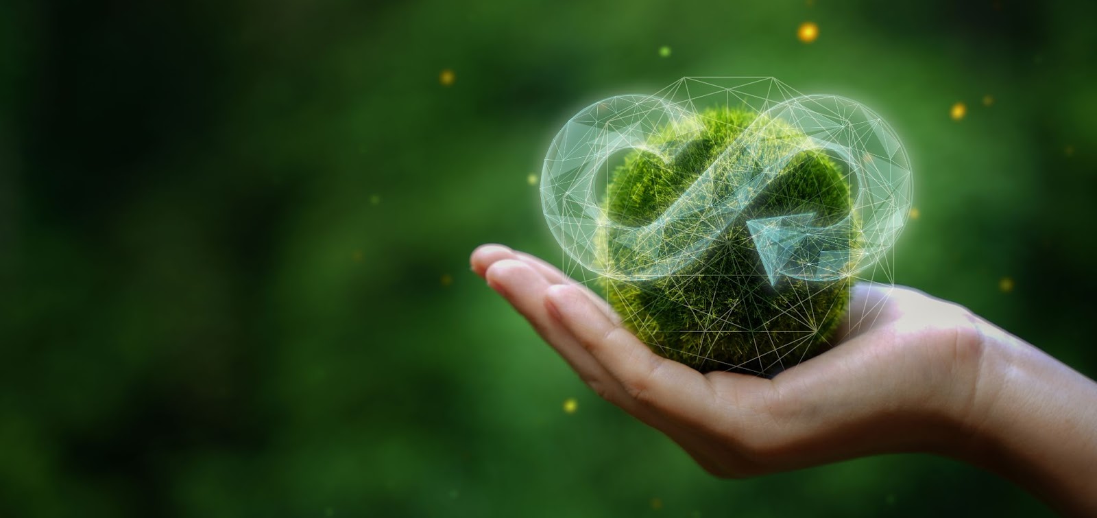 Învață cum să pui economia circulară în practică