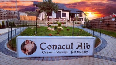 Un nou concept în turismul din România: Dogtorsland, vacanțe pentru oameni fericiți și liberi