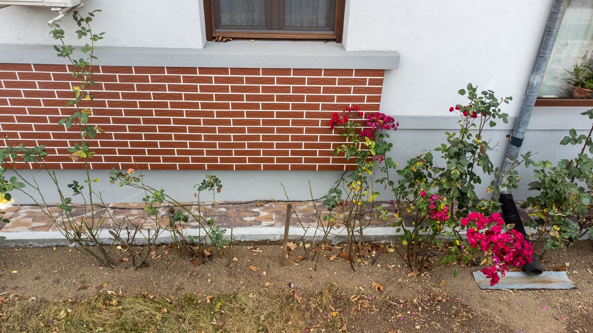 Elemente Esențiale pentru Un Design Urban Durabil și Atrăgător: Pavaje de Calitate