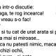 BANCUL ZILEI | „Hai dragă, te rog încearcă!”