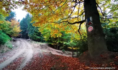 Drumurile care duc în sălbăticia Munților Șureanu. Cum ajungi în locurile uimitoare din parcul natural