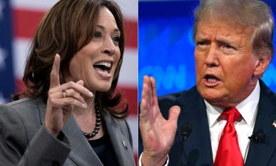 Politicile ECONOMICE propuse de Trump și Harris îngrozesc specialiștii. Candidații se mulează pe ce preferă alegătorii