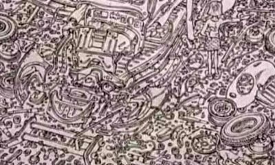 Iluzie optică virală | Dovedește că ai un IQ mare găsind pisica în maximum 5 secunde