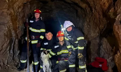 O cățelușă a fost salvată de pompieri dintr-o groapă adâncă de zece metri, aflată într-o mină dezafectată