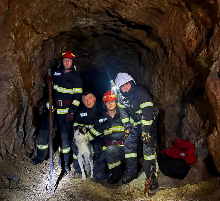 O cățelușă a fost salvată de pompieri dintr-o groapă adâncă de zece metri, aflată într-o mină dezafectată