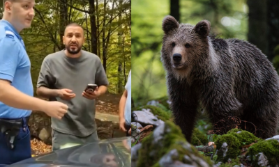 Scandal pe Transfăgărășan provocat de un bărbat cu bebeluș în brațe. A devenit violent cu cu inginerii silvici care relocau un urs