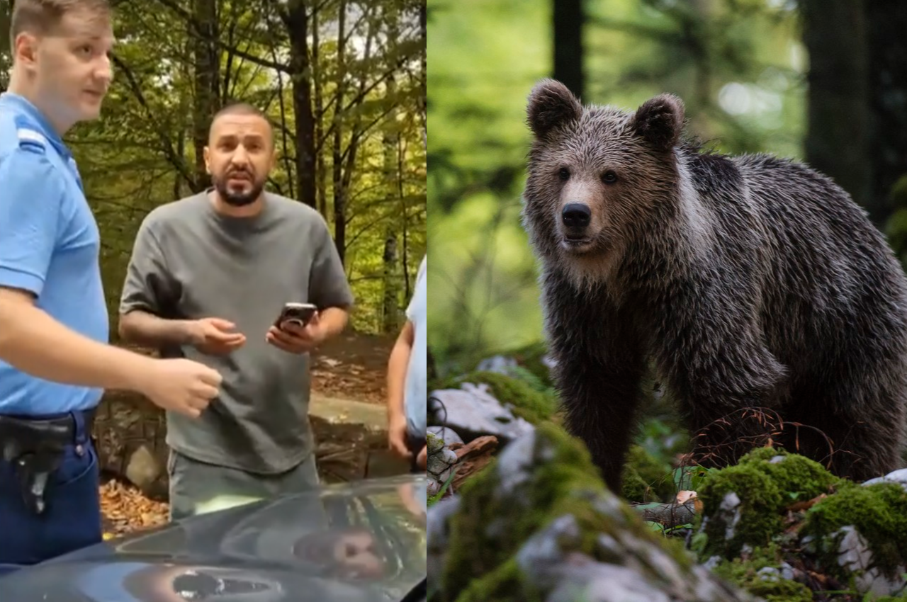 Scandal pe Transfăgărășan provocat de un bărbat cu bebeluș în brațe. A devenit violent cu cu inginerii silvici care relocau un urs