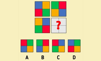 Test IQ | Care pătrat este cel corect? Doar 1 din 100 de oameni răspund corect