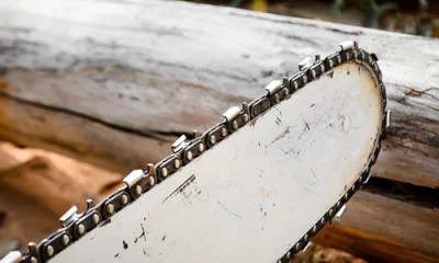 Un român, muncitor forestier în Italia, omorât de trunchiul unui copac tăiat de un coleg