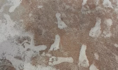 Cine au fost, de fapt, primii americani și când a fost descoperită și colonizată America