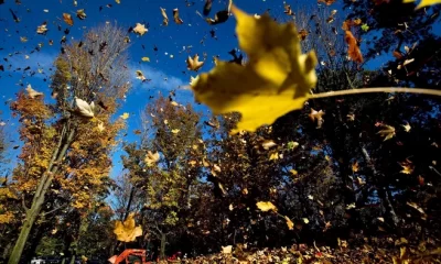 Cum va fi vremea la începutul lui noiembrie. Regiunile cu cele mai scăzute temperaturi