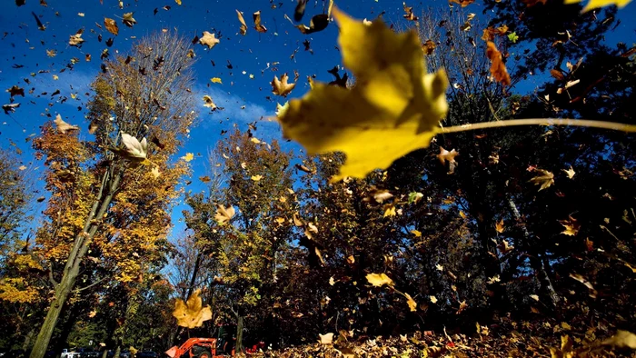 Cum va fi vremea la începutul lui noiembrie. Regiunile cu cele mai scăzute temperaturi