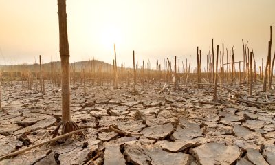 Evenimentele meteo cu potențial letal sunt agravate de schimbările climatice
