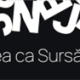 Ospitalitatea ca Sursă de Bucurie: Cum Joben Creează Conexiuni Emoționale cu Fiecare Client