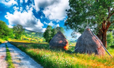 Paradisul sălbatic din Moldova pe care nu mulți turiști îl cunosc! Se află la 25 km de Iași și ascunde o rezervație naturală unică în România