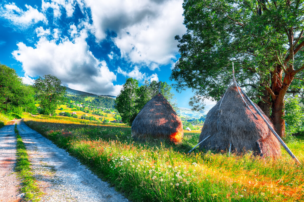 Paradisul sălbatic din Moldova pe care nu mulți turiști îl cunosc! Se află la 25 km de Iași și ascunde o rezervație naturală unică în România