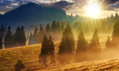 Prognoză meteo vineri, 25 octombrie. Vremea va fi frumoasă, iar temperatura maximă va fi de 21 de grade