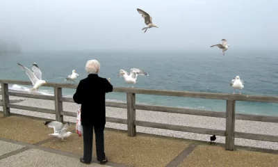 Secretele unei bătrâneți fără griji, dezvăluite de un medic psihiatru. Cum ne putem proteja de declinul cognitiv