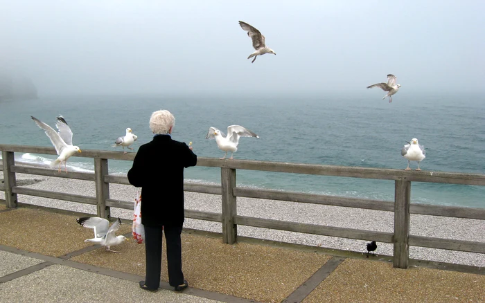 Secretele unei bătrâneți fără griji, dezvăluite de un medic psihiatru. Cum ne putem proteja de declinul cognitiv