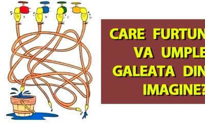 Test de inteligență | Care furtun va umple găleata din imagine?