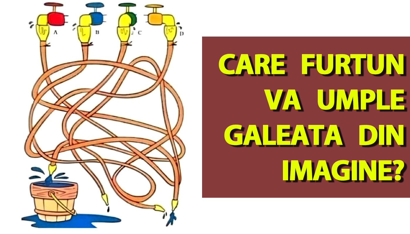 Test de inteligență | Care furtun va umple găleata din imagine?