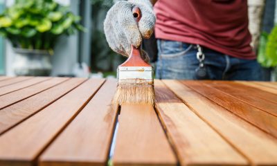 Tendințe în amenajările interioare – utilizarea vopselelor lavabile și a lacurilor pentru lemn eco friendly