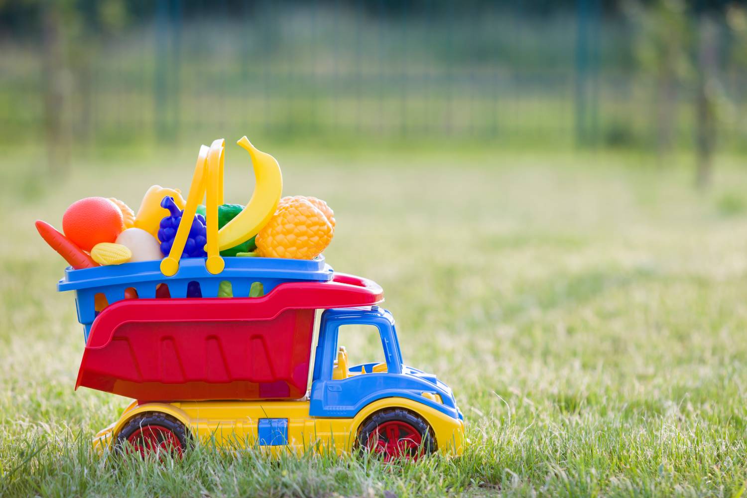 Ghid complet: Cum să alegi jucării de exterior pentru copii?