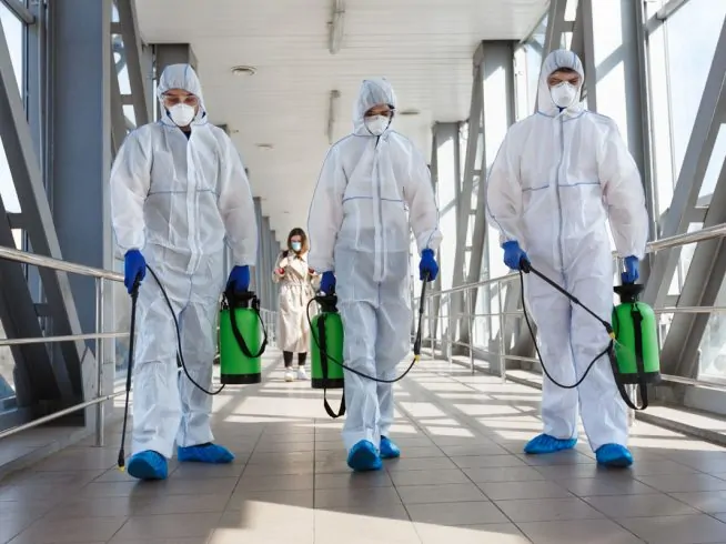 Servicii de deratizare – Alegerea celei mai bune opțiuni pentru casa ta