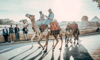 Excursie in Egipt – evadeaza intr-o cultura desprinsa din cartile cu povesti! O vacanta ca niciuna alta!