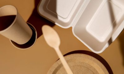 Cum să alegi furnizorul potrivit de produse biodegradabile și compostabile pentru afacerea ta?