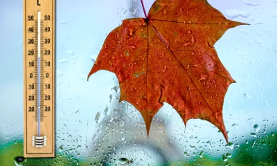 Cum va fi VREMEA în noiembrie 2024. Meteorologii anunță o lună neobișnuită, cu temperaturi neașteptate