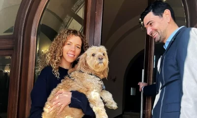 Primăria Sectorului 1 permite accesul în sediu animalelor de companie