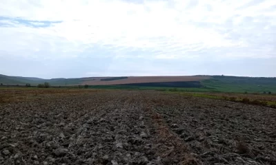 Secretul amar al sărăciei din comunele nevoiașe ale României. Cum a dus vânzarea pământului la ruinarea țăranilor