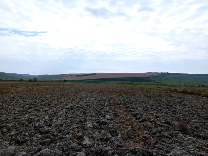 Secretul amar al sărăciei din comunele nevoiașe ale României. Cum a dus vânzarea pământului la ruinarea țăranilor