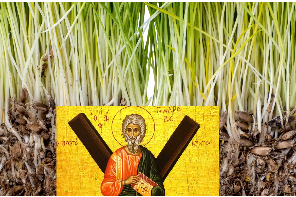 Sfântul Andrei, 30 noiembrie. Ce trebuie să faci în ajunul acestei mari SĂRBĂTORI