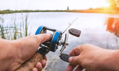 Trucul pescarilor profesioniști. Leguma secretă folosită drept momeală pentru o captură garantată! Metoda a devenit virală pe TikTok