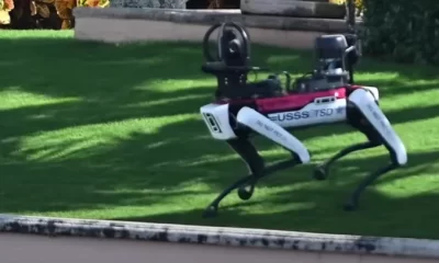 Armatele lumii se echipează cu câini-robot echipați cu arme, lansatoare de rachete și chiar lansatoare de flăcări