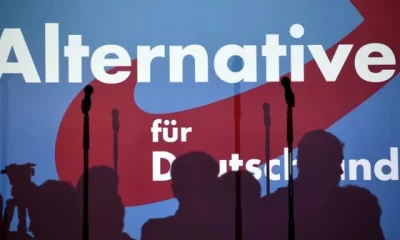 Cum ar putea ajunge la putere extrema dreaptă din Germania ? Analiză Newsweek