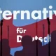 Cum ar putea ajunge la putere extrema dreaptă din Germania ? Analiză Newsweek