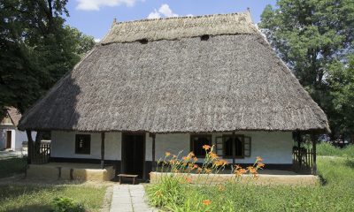 Cum se poate ajunge la MUZEUL SATULUI din București și ce obiective se pot vedea în aer liber. Program și tarife