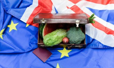 Exporturile de alimente ale Marii Britanii către UE au scăzut cu 3,6 miliarde de euro pe an