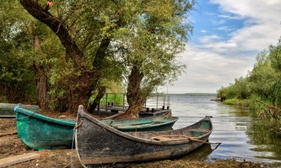Localnicii din Deltă au venit la vot cu barca sau cu bacul. Prezența la vot în Tulcea