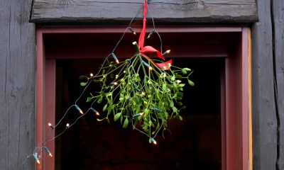 Motivul pentru care e bine să ai VÂSC în noaptea de Revelion. Ce semnificație poartă