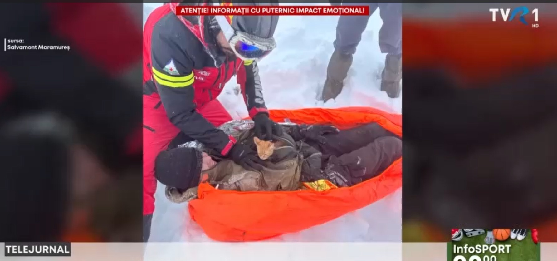 Povestea de iubire continuă. Ucraineanul și pisica, din nou împreună. Acesta a ținut pisicul la piept pe munte după ce a căzut într-o râpă