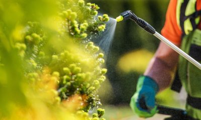 ​Prospect Codamin: Cum îl folosești pentru biostimularea plantelor?