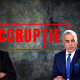 „Lipsa de profesionalism este mai DURĂ decât corupția”